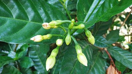 单机武侠RPG《活侠传》上架Steam 发售日期待定